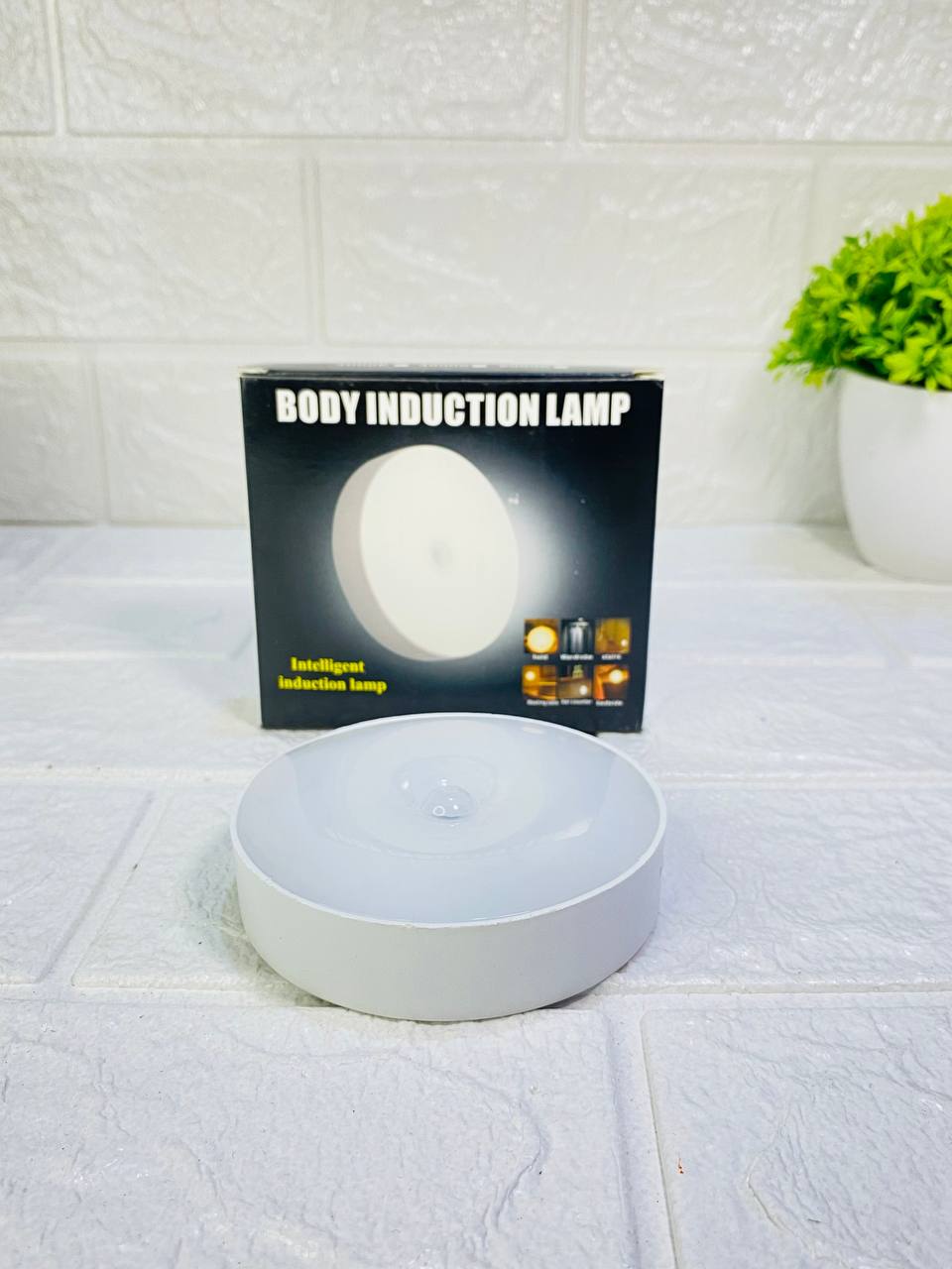Motion Sensor Light