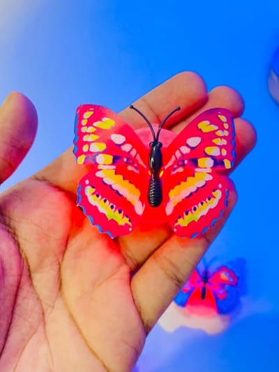 LED Butterfly_img_4