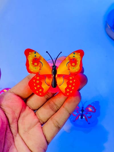 LED Butterfly_img_5