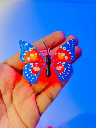 LED Butterfly_img_6